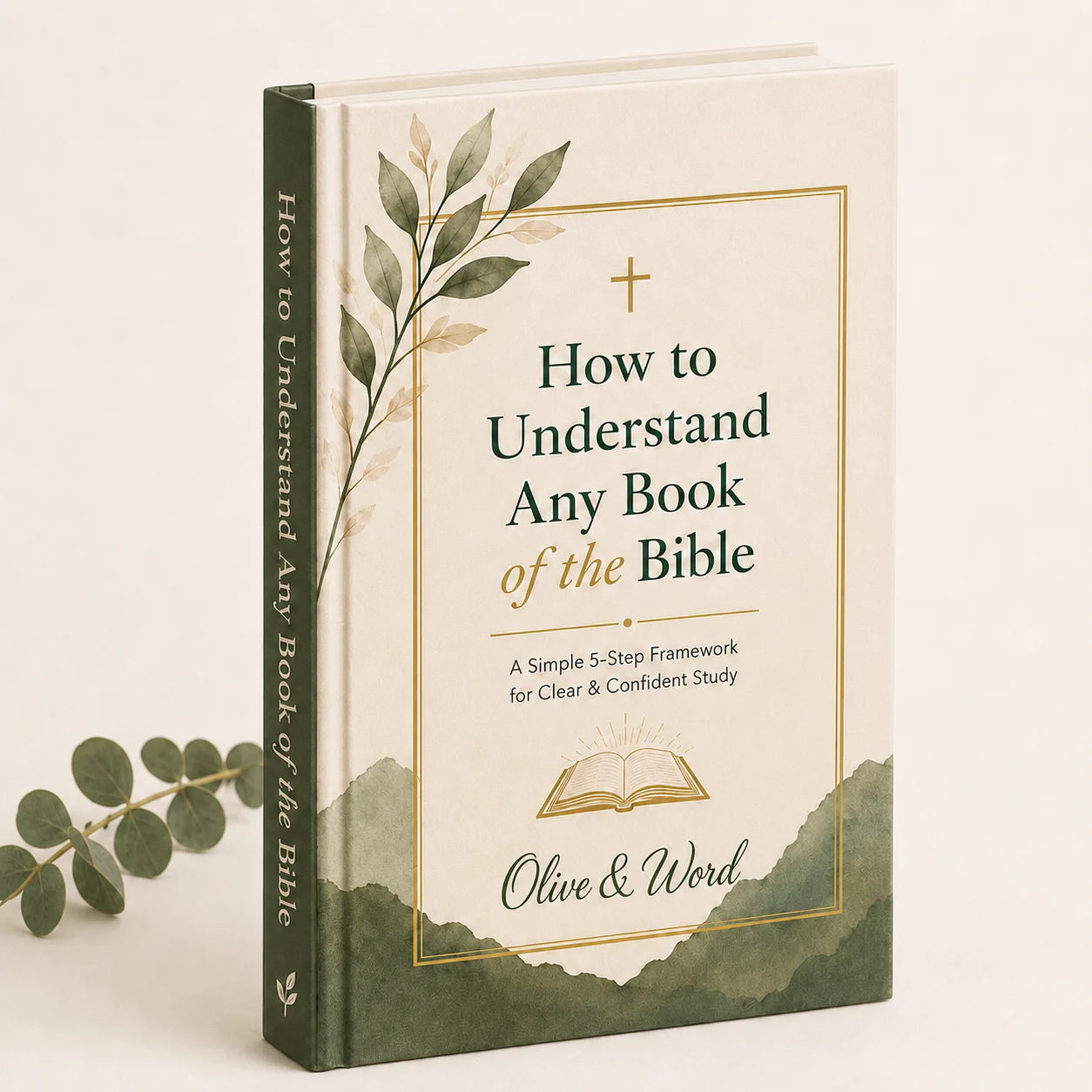 How To Understand Any Book of The Bible E-Book