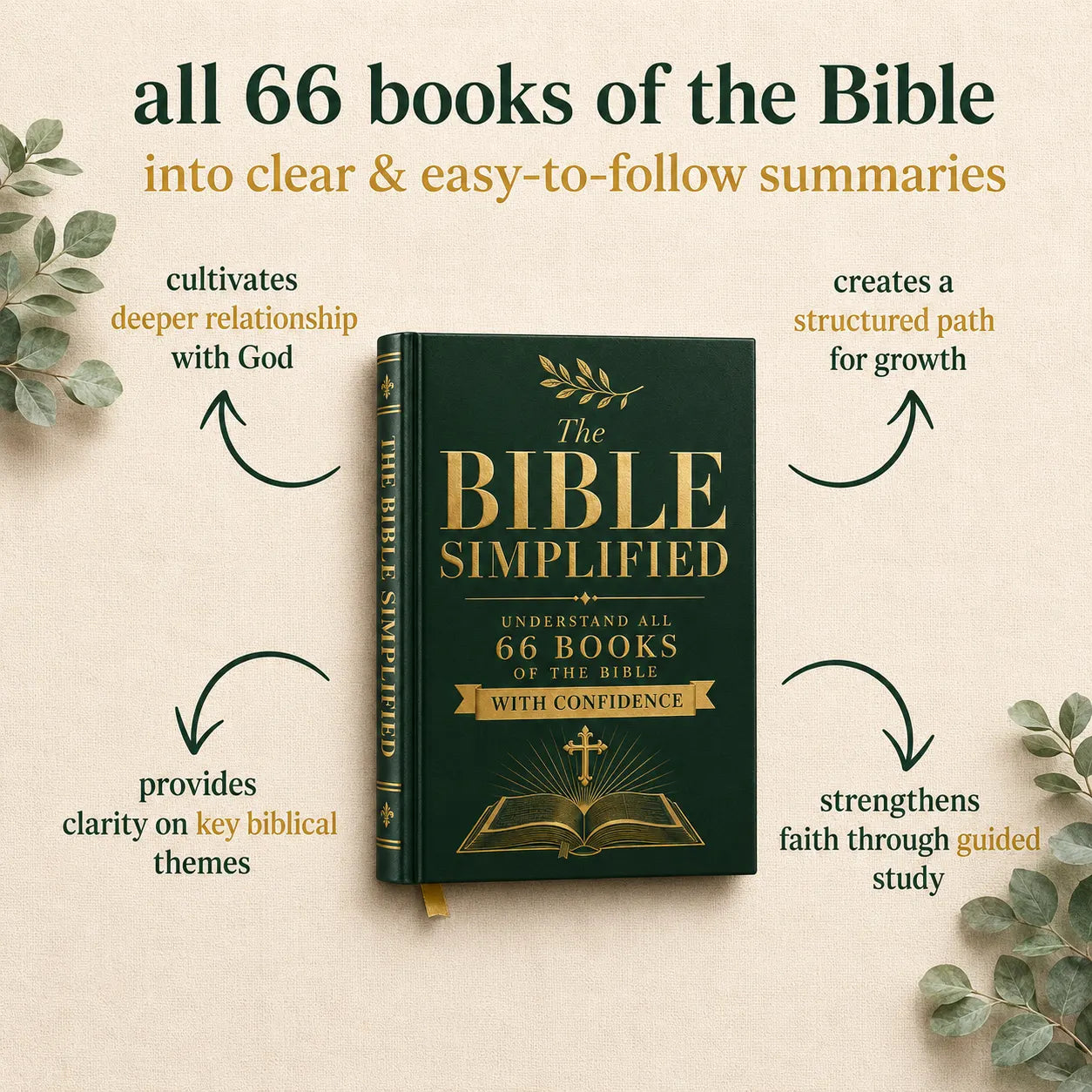 Olive & Word – The 66 Roots Journey