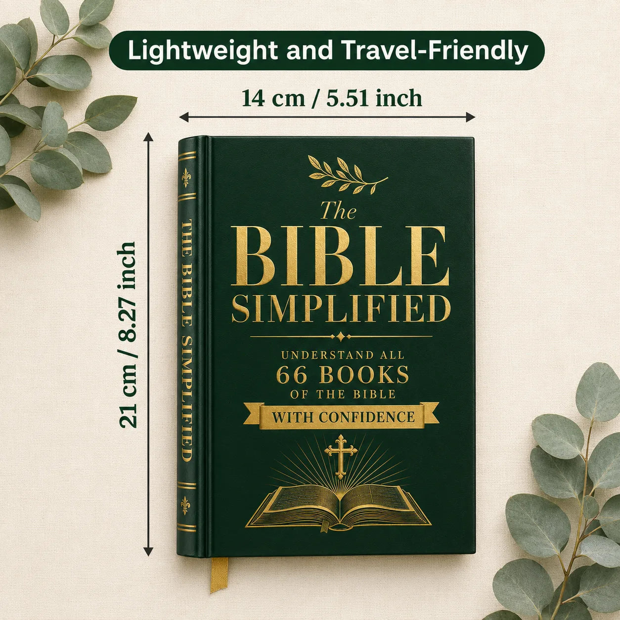 Olive & Word – The 66 Roots Journey